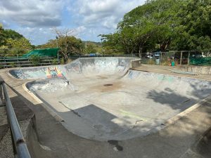 Recolecta de fondos para remodelar Skatepark alcanza la meta final