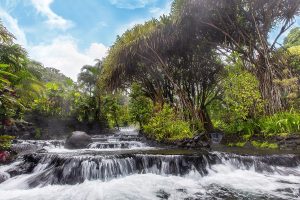 Costa Rica analizará cómo mantener el liderazgo en un mercado donde la sostenibilidad ya no es exclusiva