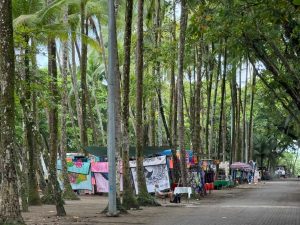 Incumplen sentencia del Tribunal Constitucional que ordenó desalojar vendedores ilegales de la Zona Marítimo Terrestre en Dominical