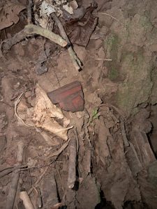 Encuentran cementerio prehispánico en Matapalo de Abangares